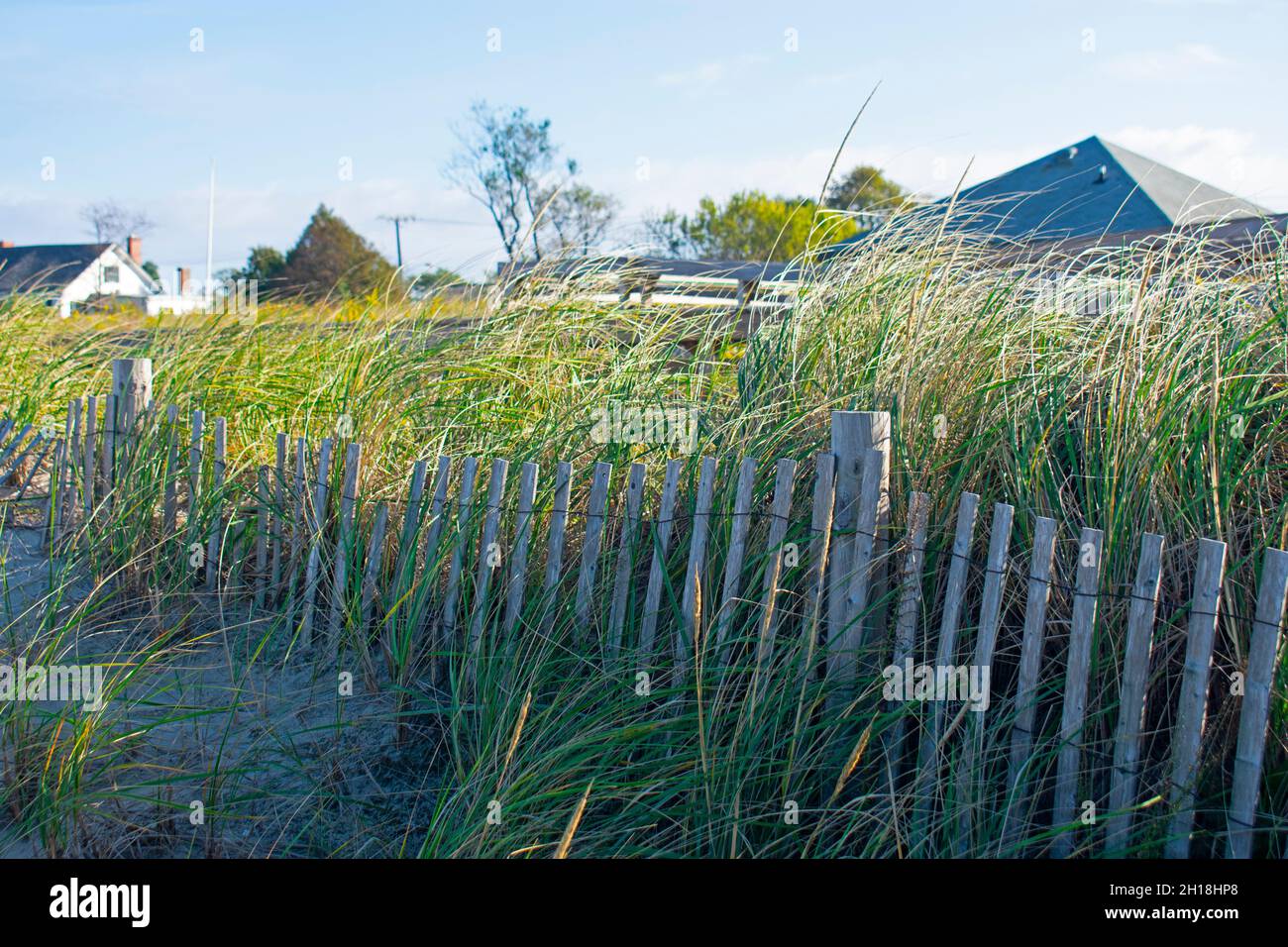 Beach, sand, and grass flowing in the breeze at the Bayshore Waterfront Park in Port Monmouth, New Jersey, on a sunny day -02 Stock Photo