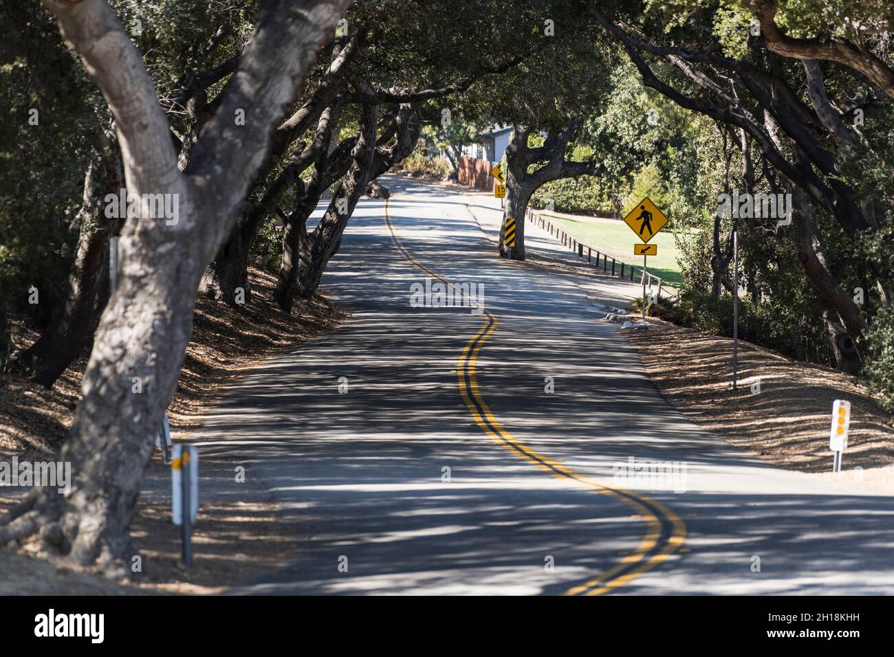 Suburban country road with Oak Trees in quiet Simi Valley, California, USA Stock Photo