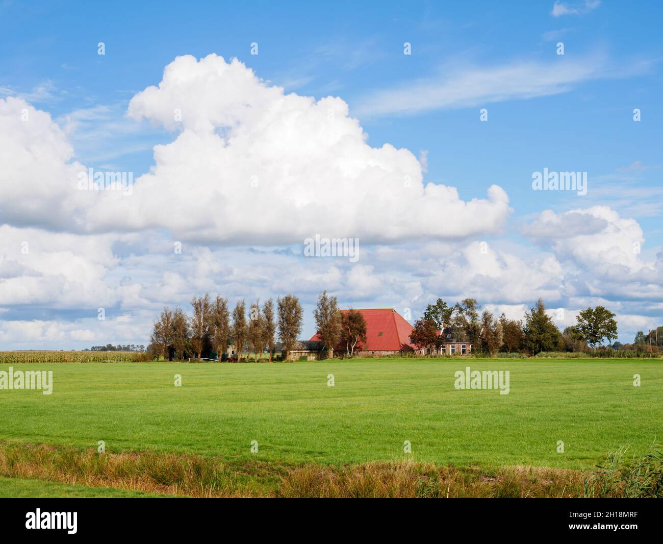 Farmland and farmhouse in polder landscape north of Grou in Friesland, Netherlands Stock Photo
