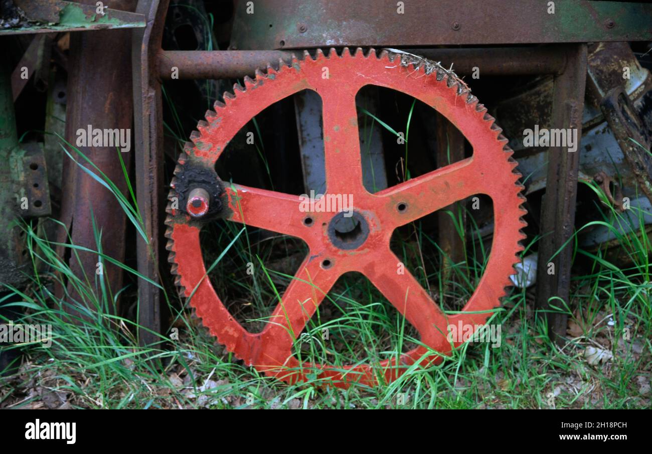 old red Cog Wheel in a scrap yard Stock Photo