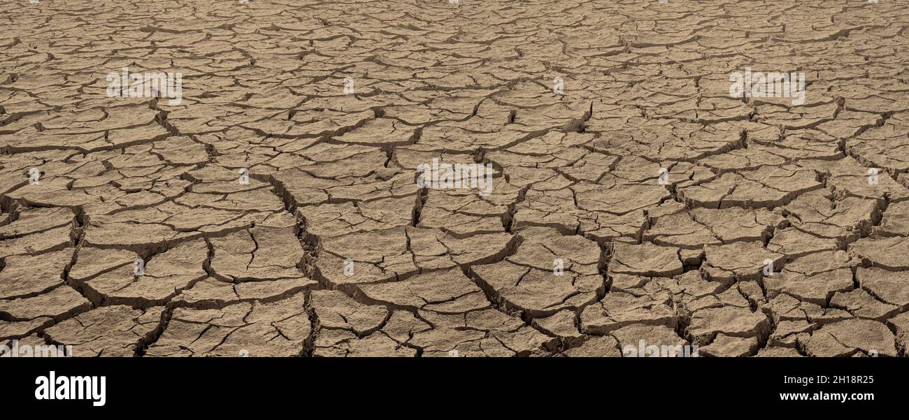 Cracked dried brown soil. Barren land texture, wide panorama with deep focus Stock Photo