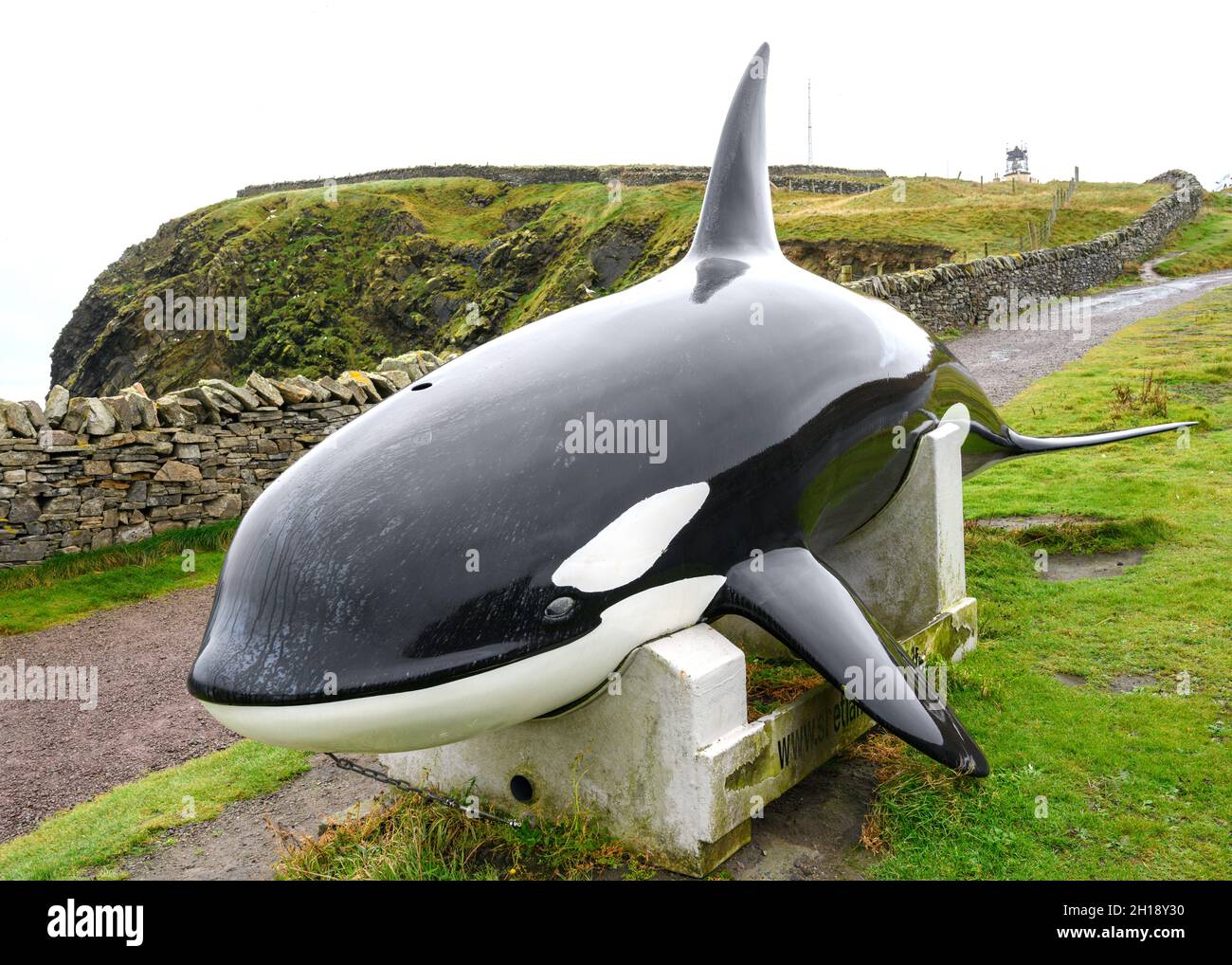 Model of a Killer Whale at Sumburgh Head Lighthouse, Sumburgh Head, Mainland, Shetland, Scotland, UK Stock Photo