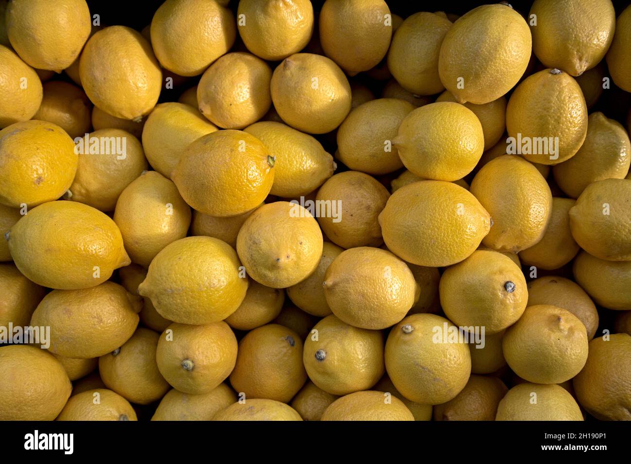 Lemons on display at the Farmers's Market, Castle Terrace, Edinburgh, Scotland, UK. Stock Photo