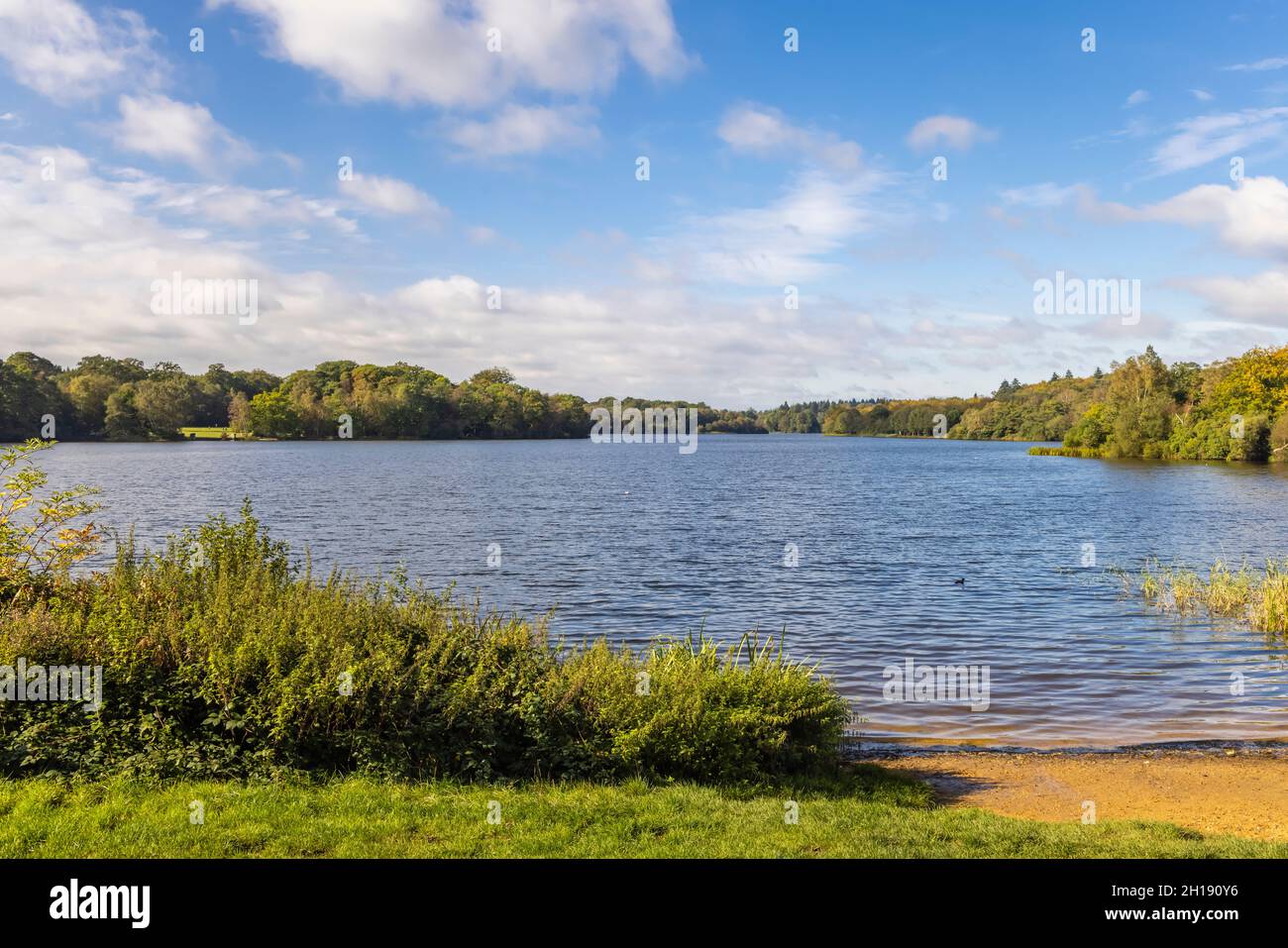 Virginia Water Lake in early autumn, Windsor Great Park, Surrey, south-east England Stock Photo