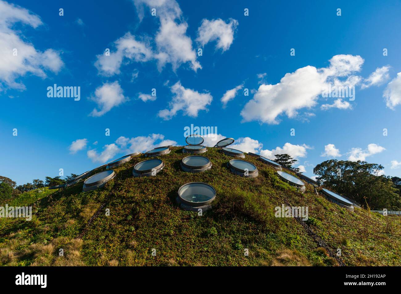 The living green, landscaped roof of the California Academy of Sciences. California Academy of