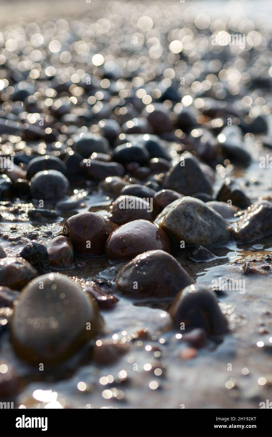 Pebbles on the beach of the Polish Baltic Sea coast near Kolobrzeg at sunset in backlight Stock Photo