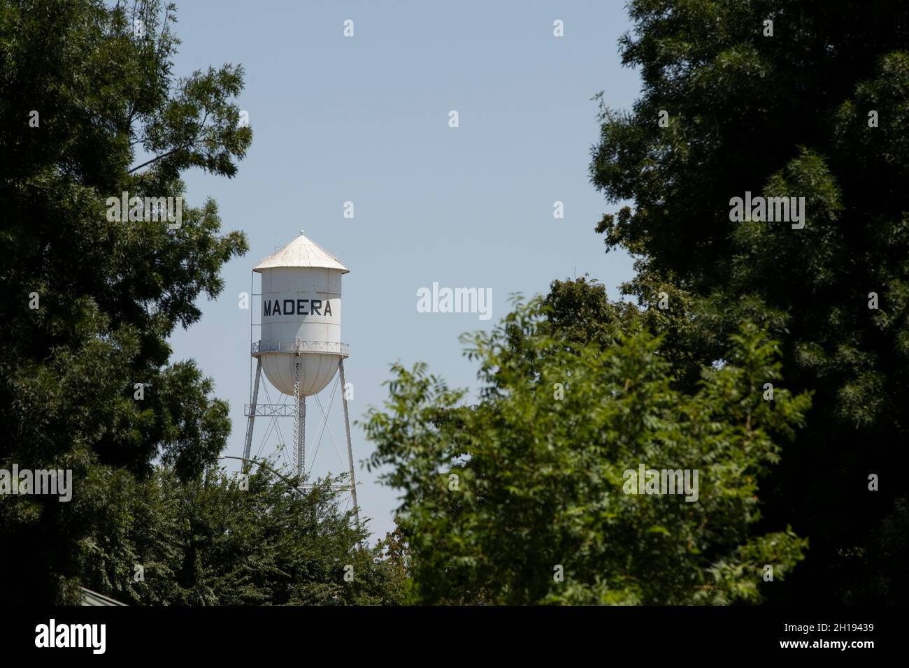 Madera, California, USA July 15, 2021 Trees frame the landmark Madera water tower Stock Photo