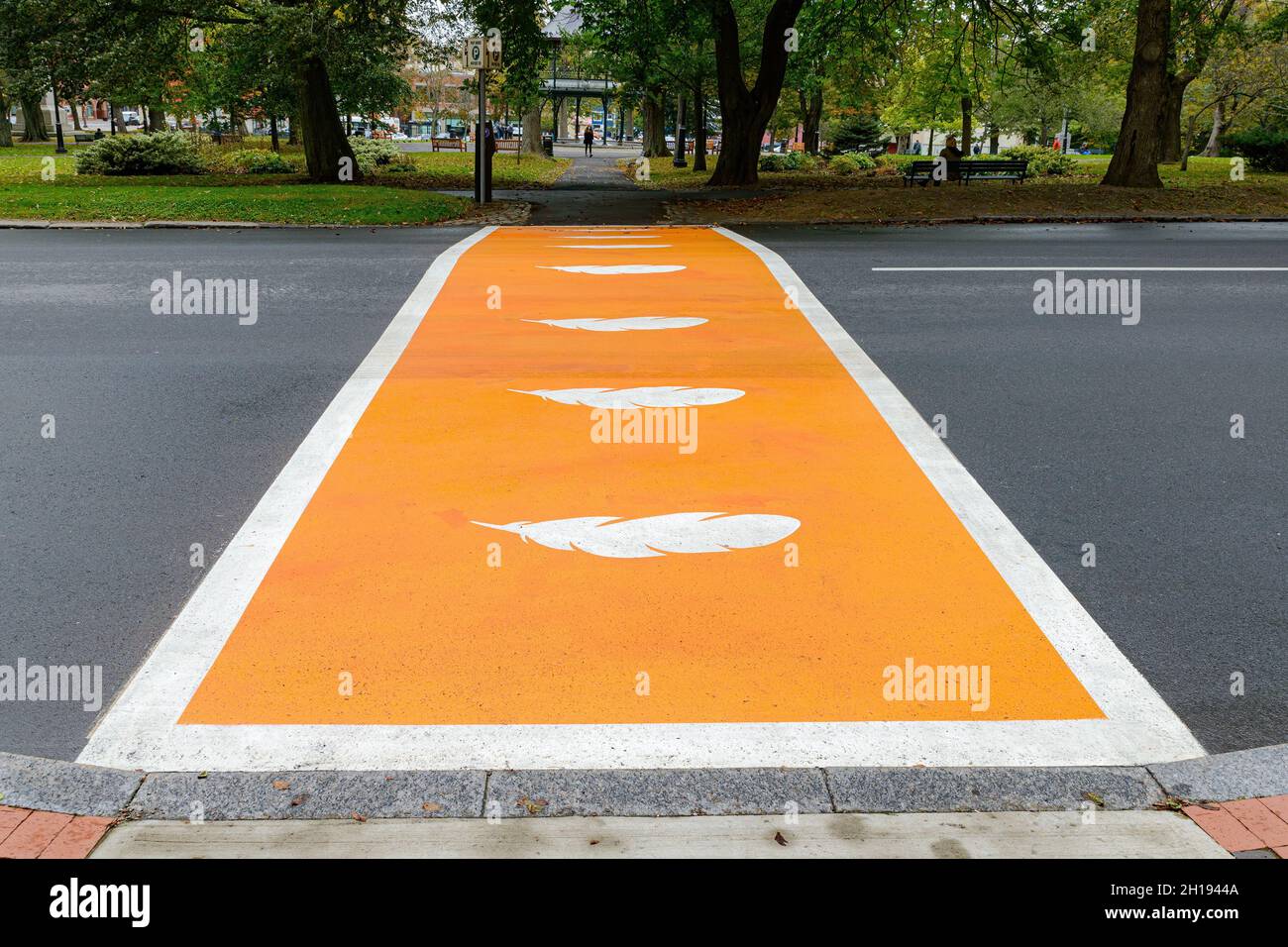 Crosswalk painted orange with white feathers for Truth and Reconciliation to honor Indigenous children who died in Canada's residential schools. Stock Photo