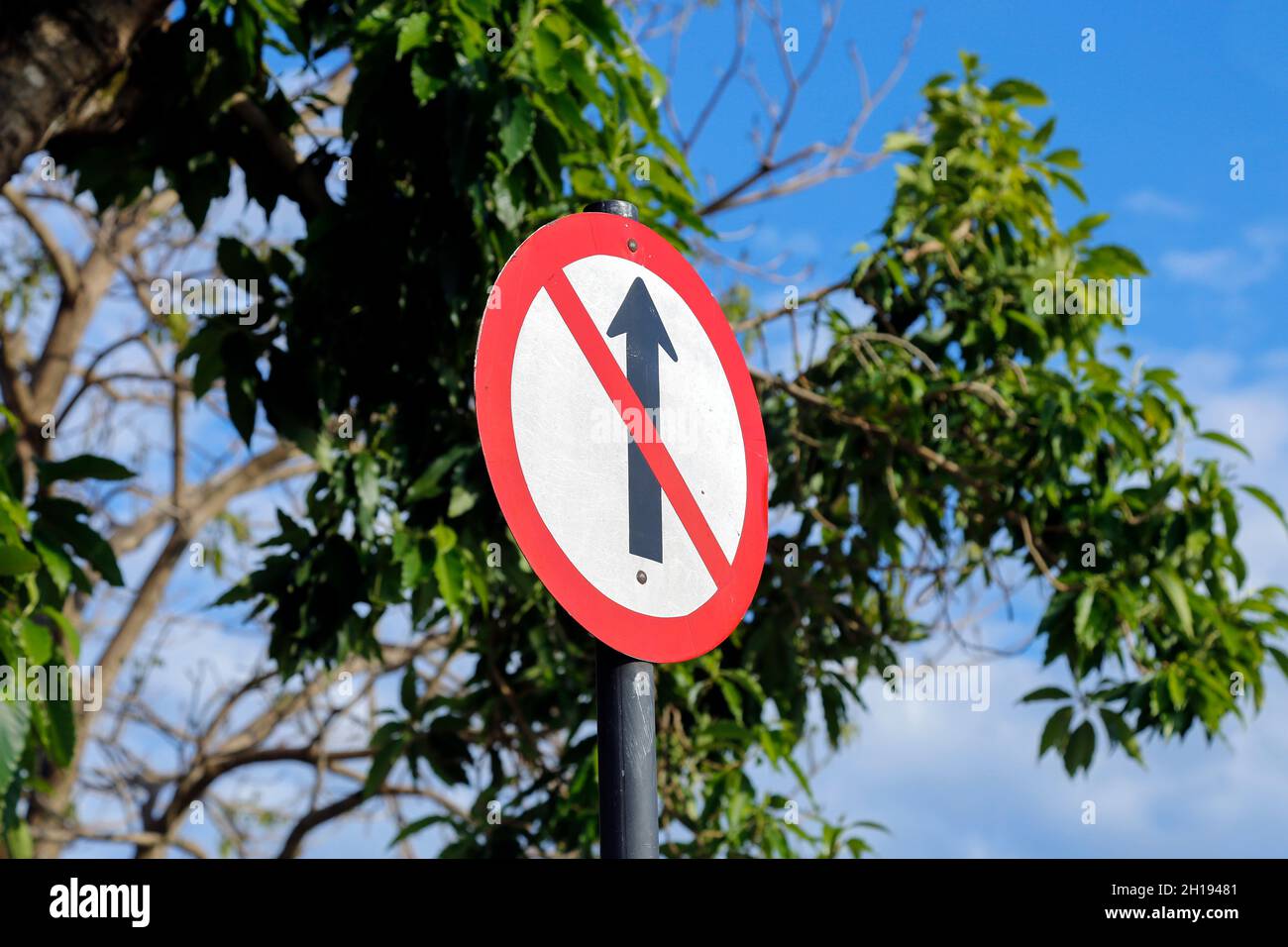 prohibited direction sign - wrong direction traffic signal Stock Photo