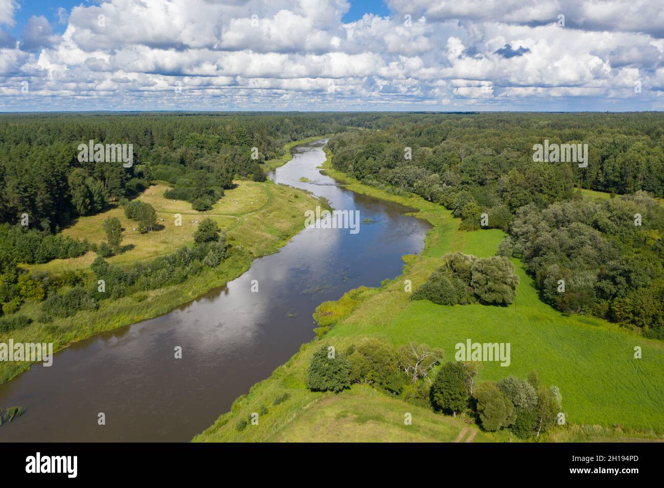 Aerial view of river flowing through green forest. Cloudy sky Stock ...