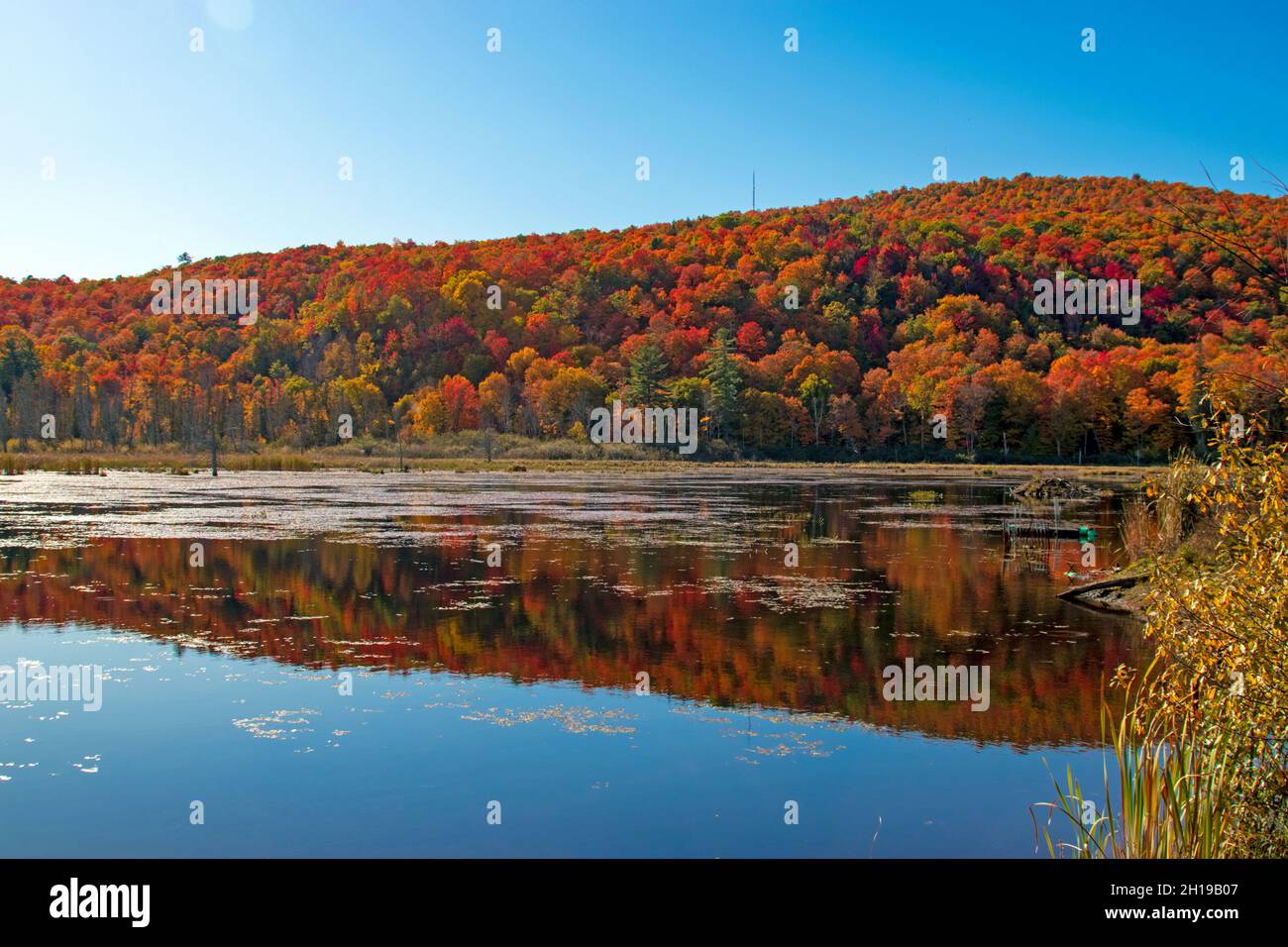 Beautiful fall colours reflecting on calm water Stock Photo - Alamy