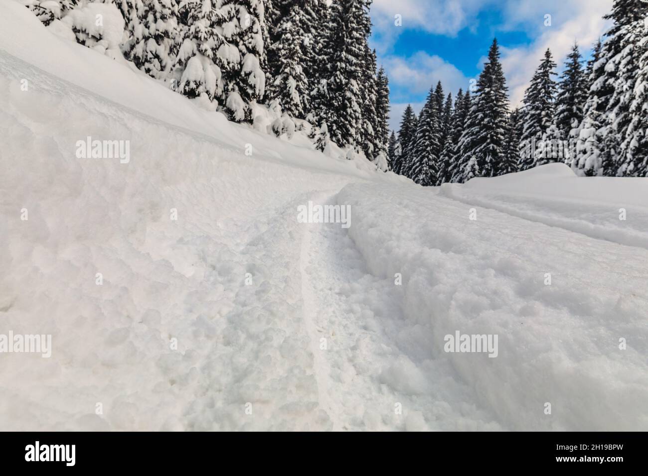 The traces of deep wheels in freshly fallen snow Stock Photo - Alamy