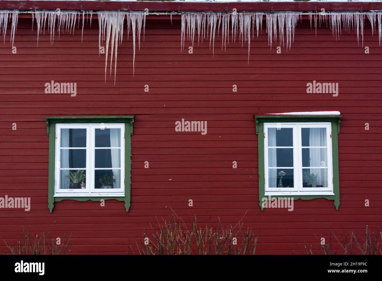 Icicles hanging from a red house with green framed windows. Noss, Vesteralen Islands, Nordland, Norway. Stock Photo