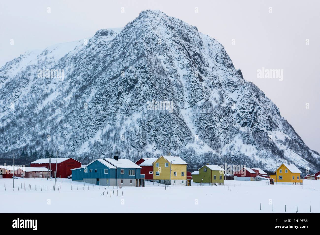 Colorful houses in front of a mountain in winter. Noss, Vesteralen ...
