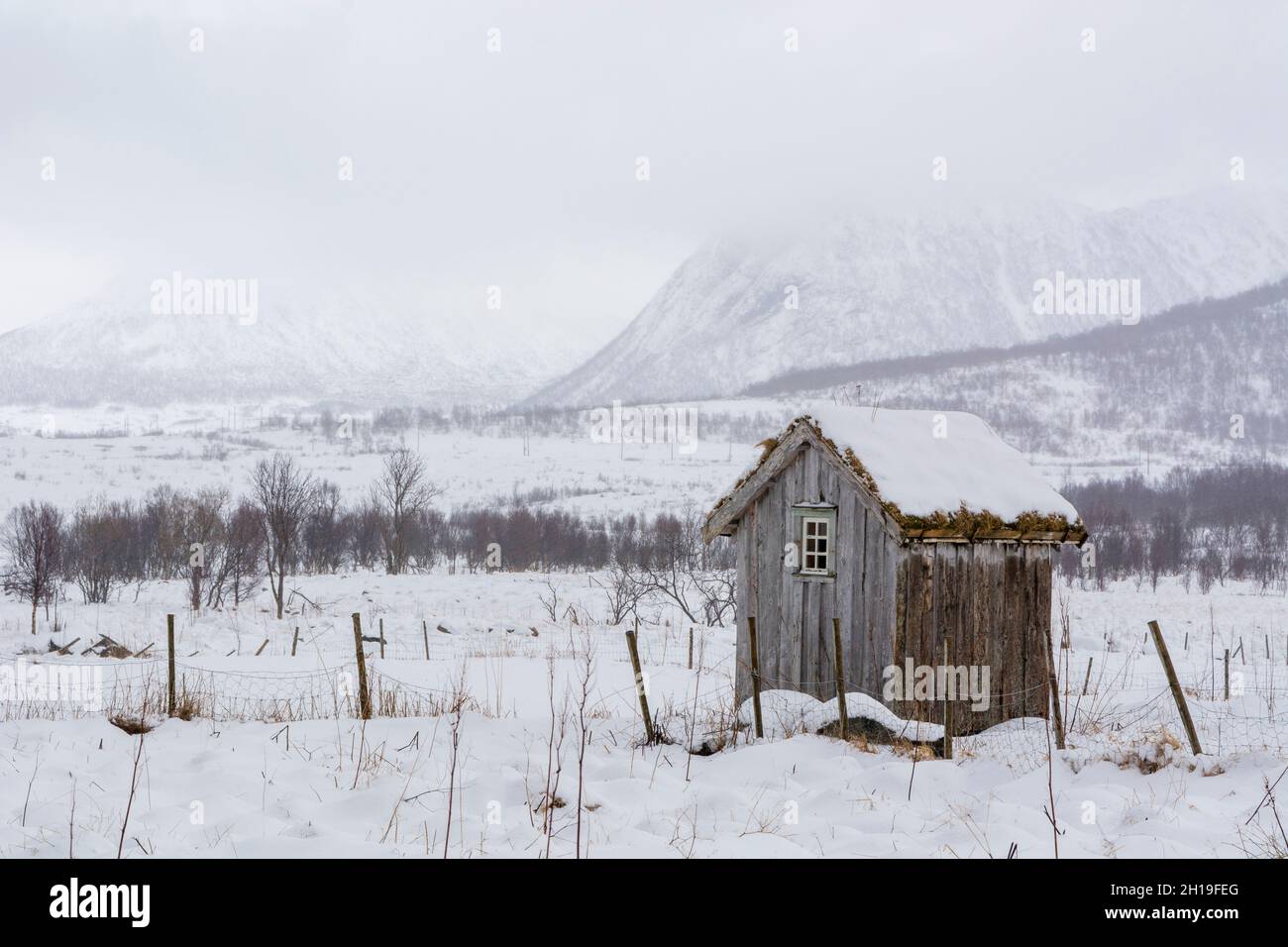 Vesterålen islands winter hi-res stock photography and images - Alamy