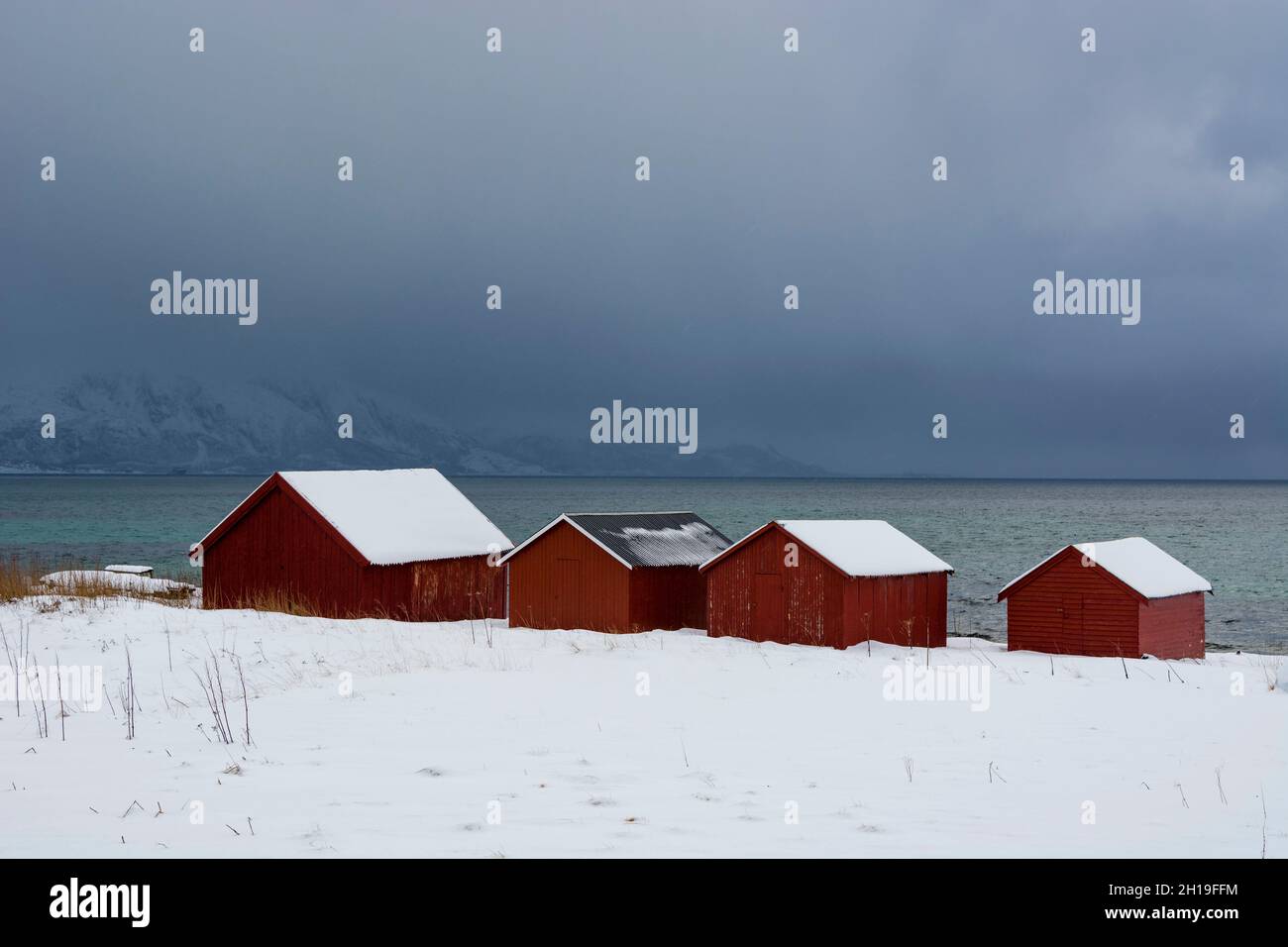 Red houses by the sea in a snowy winter landscape. Osvoll, Vesteralen ...