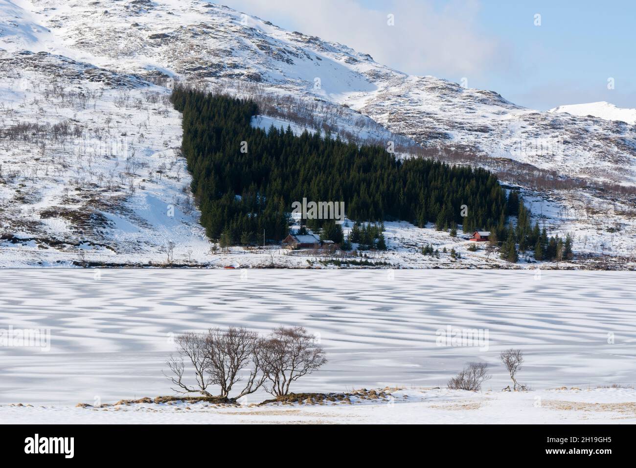 A scenic view of frozen Ostadvatnet Lake and snowy mountains and a planted evergreen forest. Ostadvatnet Lake, Lofoten Islands, Nordland, Norway. Stock Photo