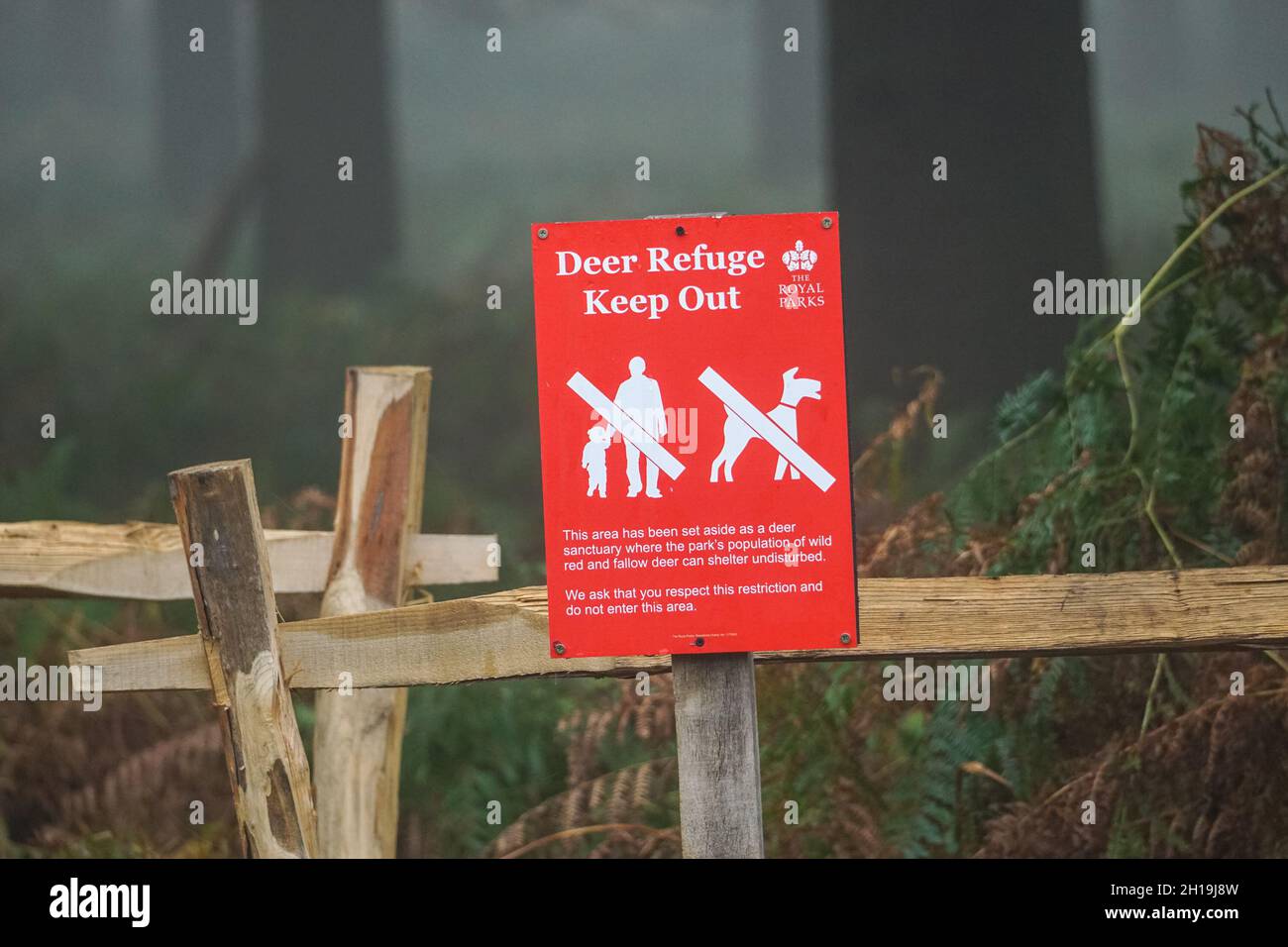 Deer refuge, deer shelter, deer sanctuary in Richmond Park, London, England, United Kingdom, UK Stock Photo