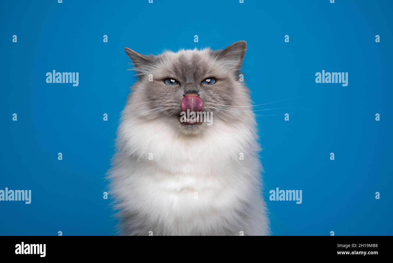 Hungrylipsreddit
