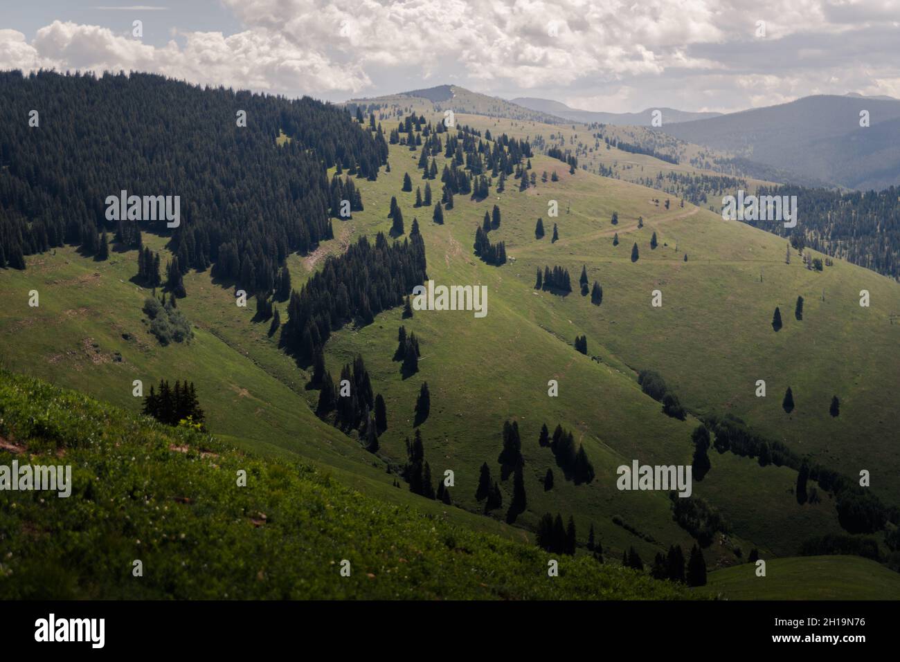 Landscape view of Vail Mountain in the summertime in Vail, Colorado ...