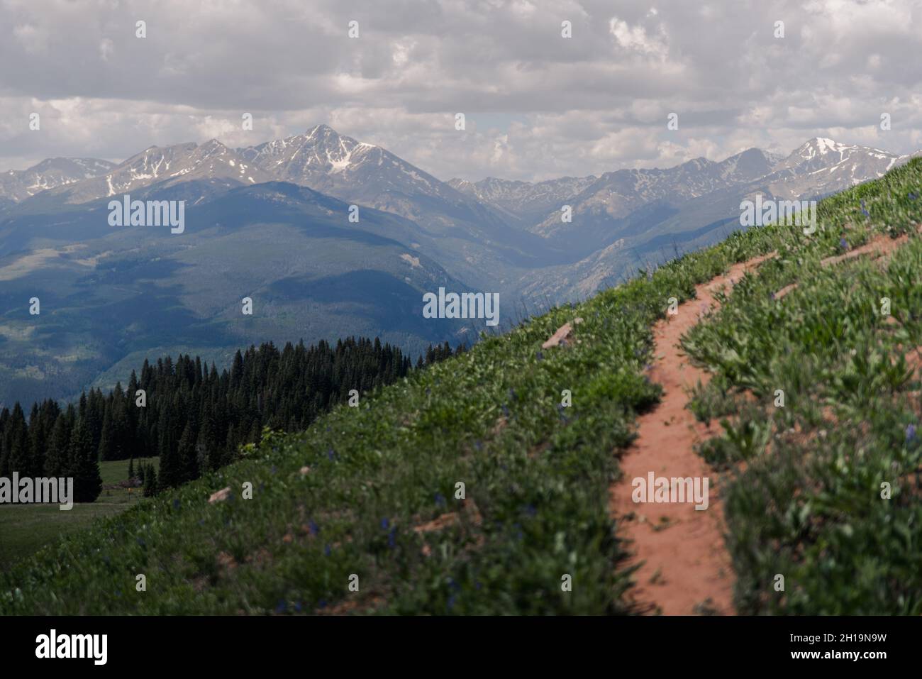 Landscape view of Vail Mountain in the summertime in Vail, Colorado ...