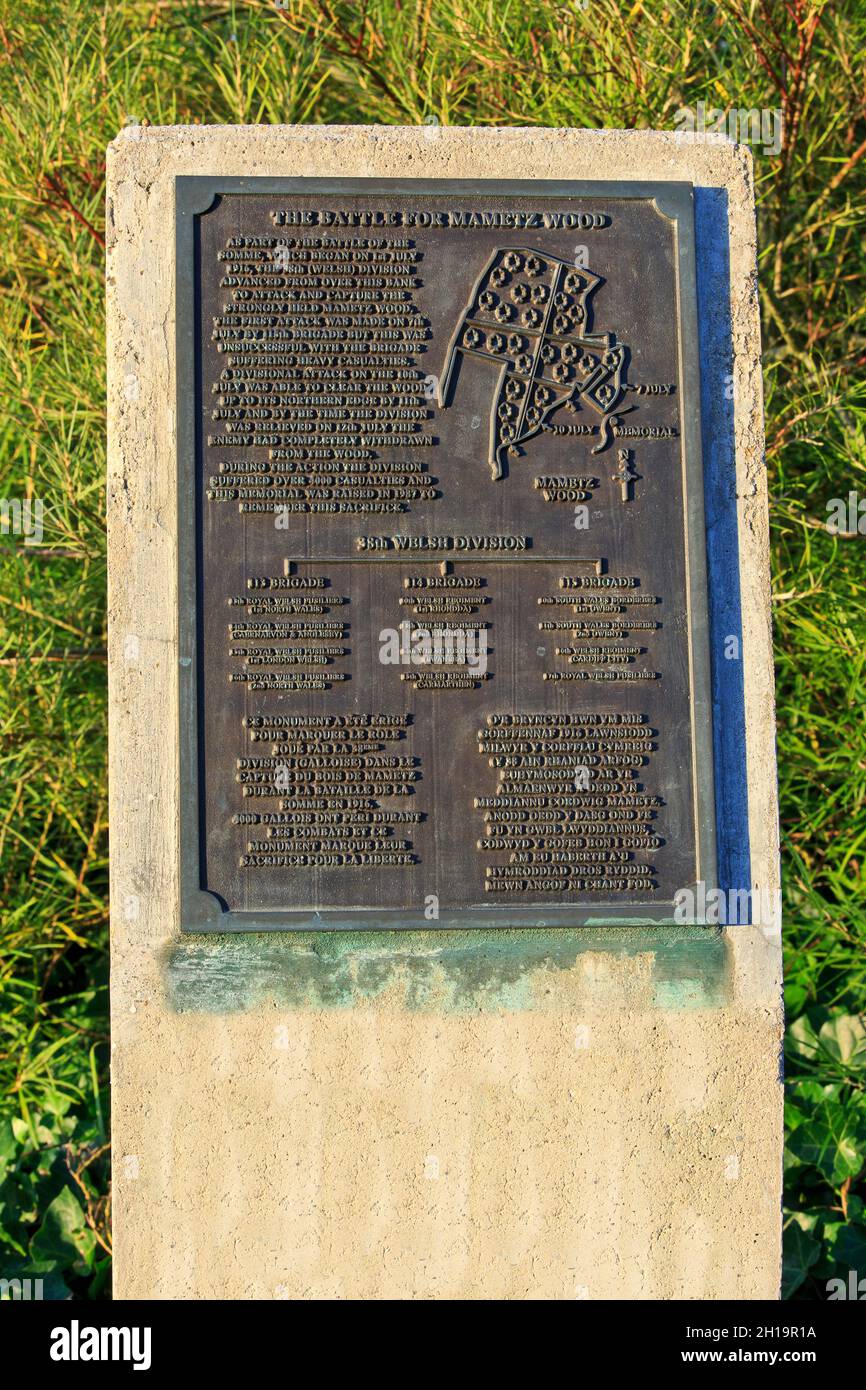Explanatory plaque in remembrance of the Battle for Mametz Forest  at the 38th Welsh Division Memorial in Carnoy-Mametz (Somme), France Stock Photo