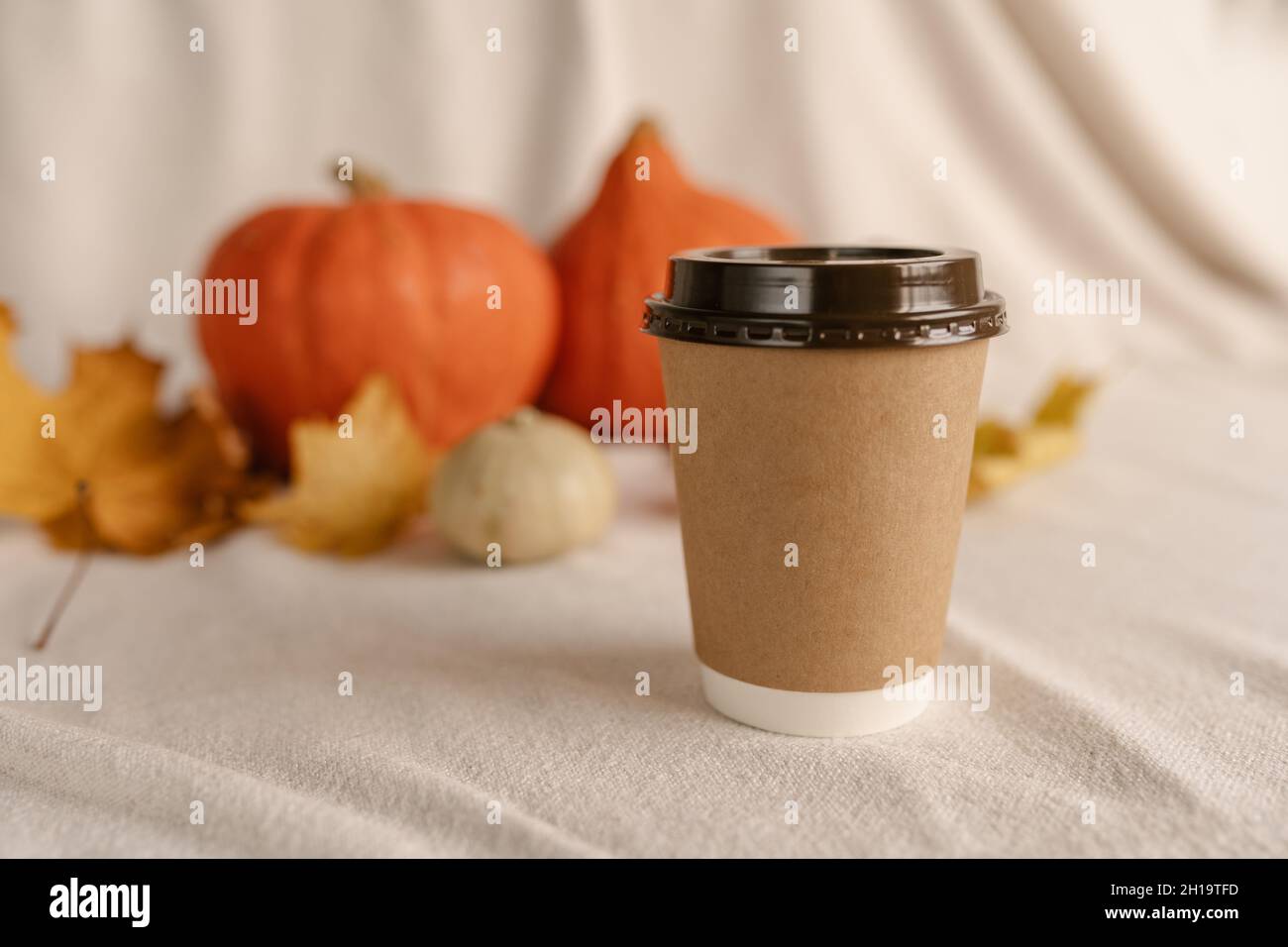 Coffee Take Away Cup in Autumn Pumpkin Set Up. Pumpkin spice latte with ...