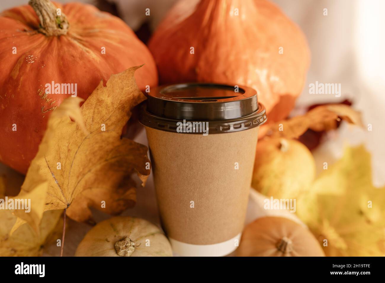 Coffee Take Away Cup in Autumn Pumpkin Set Up. Pumpkin spice latte with ...