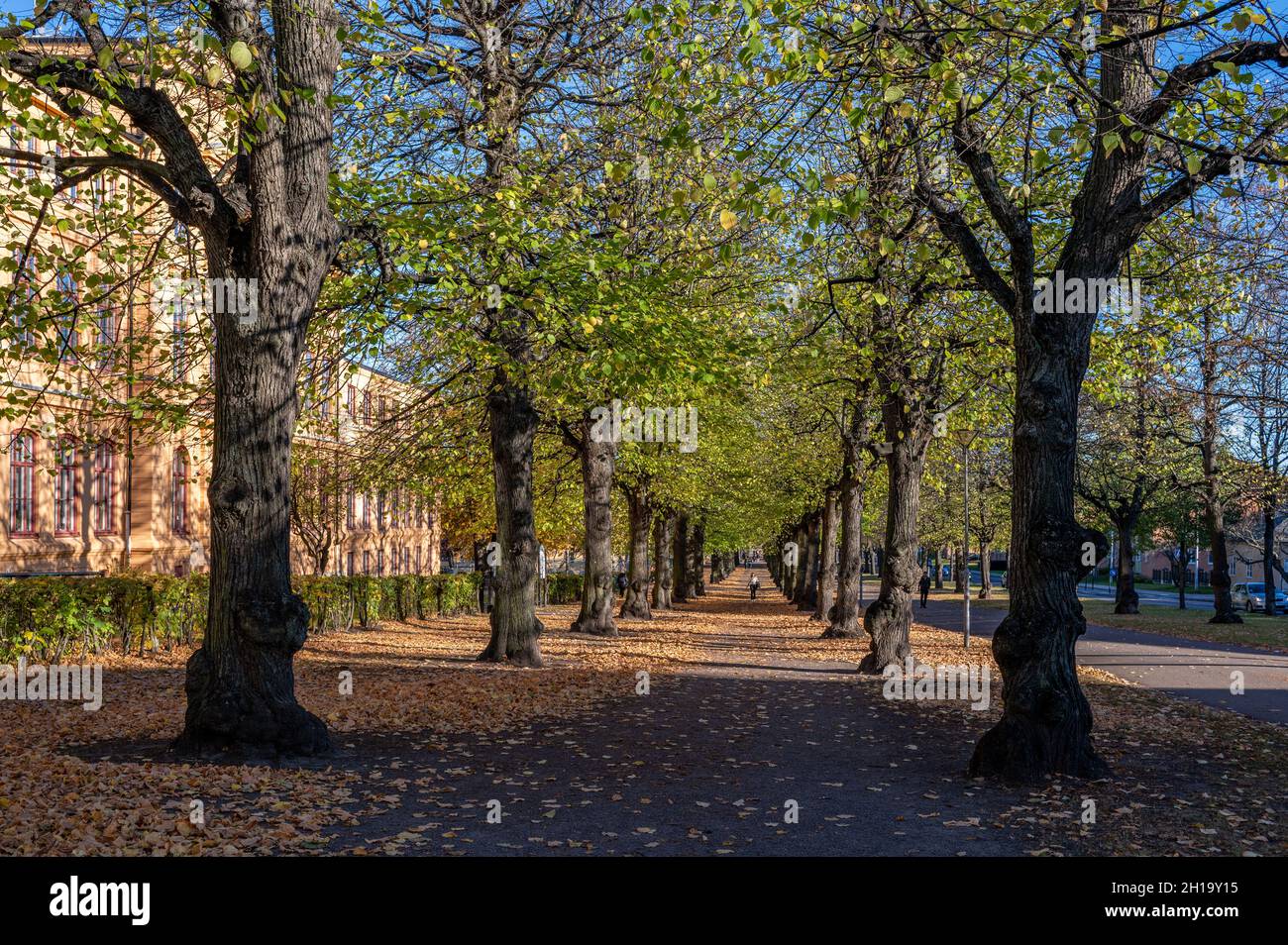 Unrecognizable persons on the Southern Promenade during autumn in Norrkoping. The Promenades in Norrkoping were inspired by Paris boulevards. Stock Photo