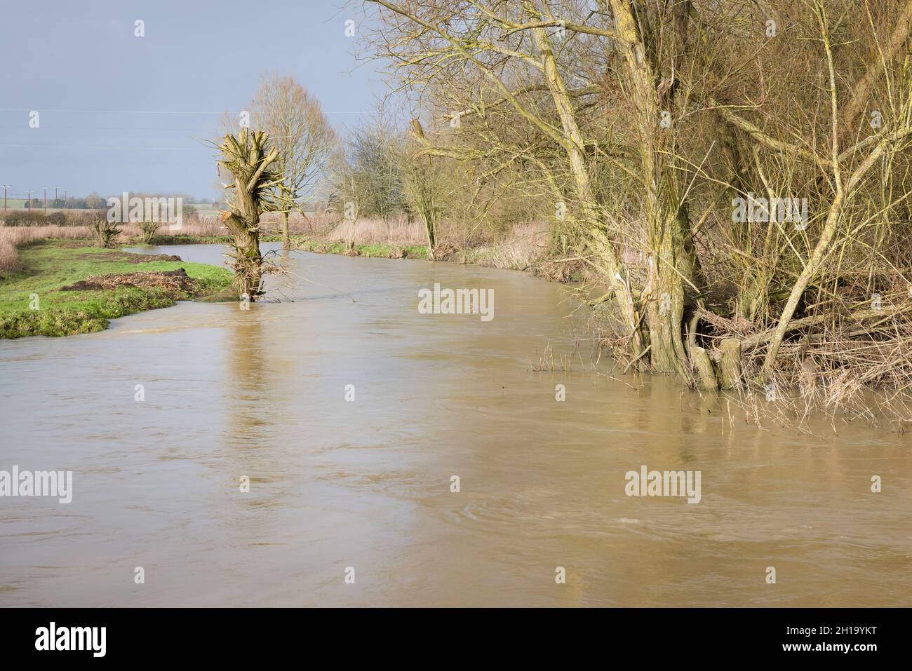 Flooding river, high water level in a swollen river, English countryside, Buckinghamshire, UK Stock Photo