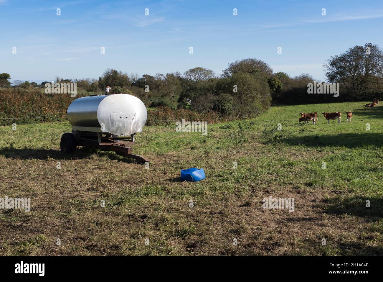 dh Water bowser FARMLAND GUERNSEY Mobile farm machine in field of cows supply Stock Photo