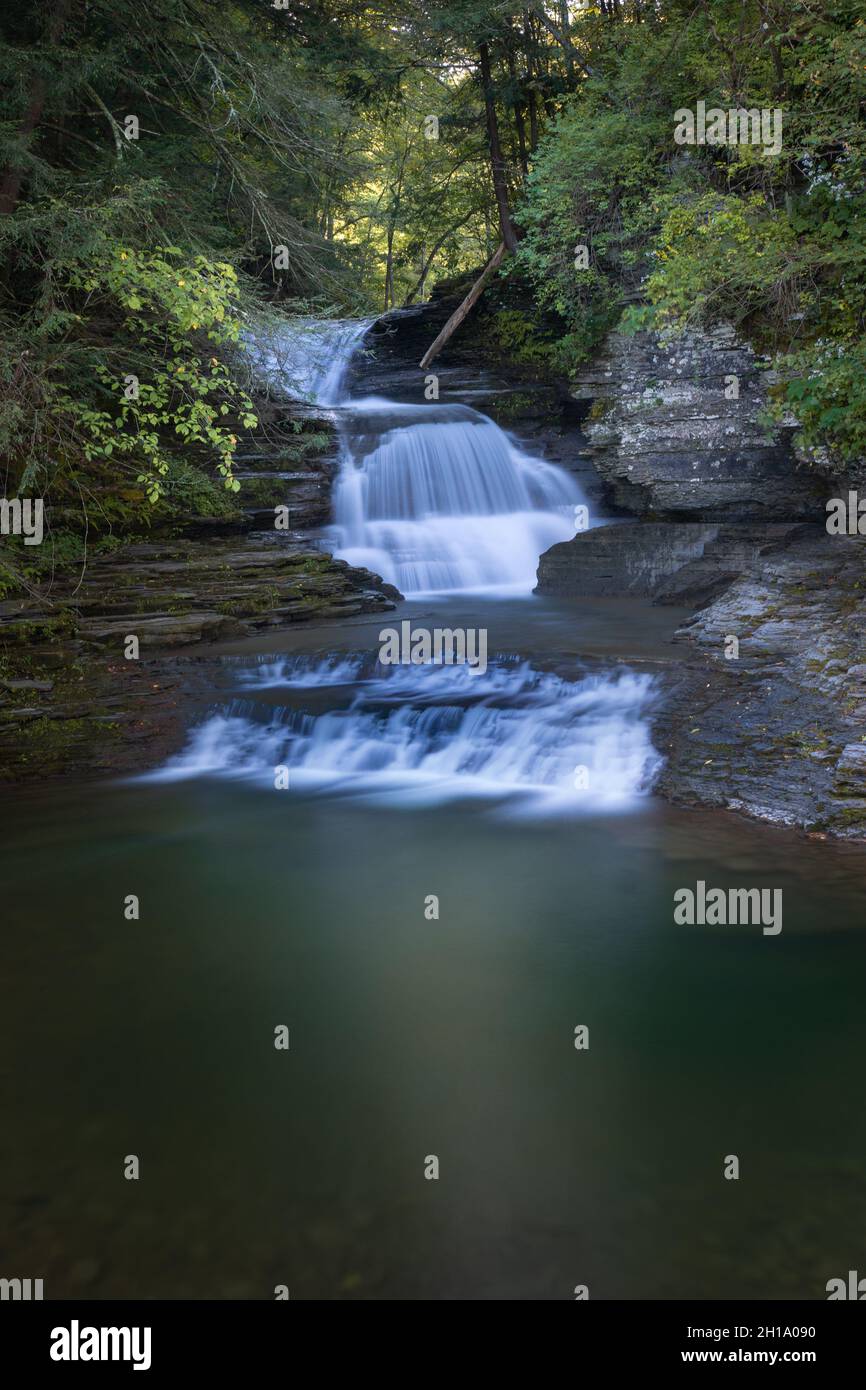 A beautiful view of a waterfall in the forest as a nature background ...