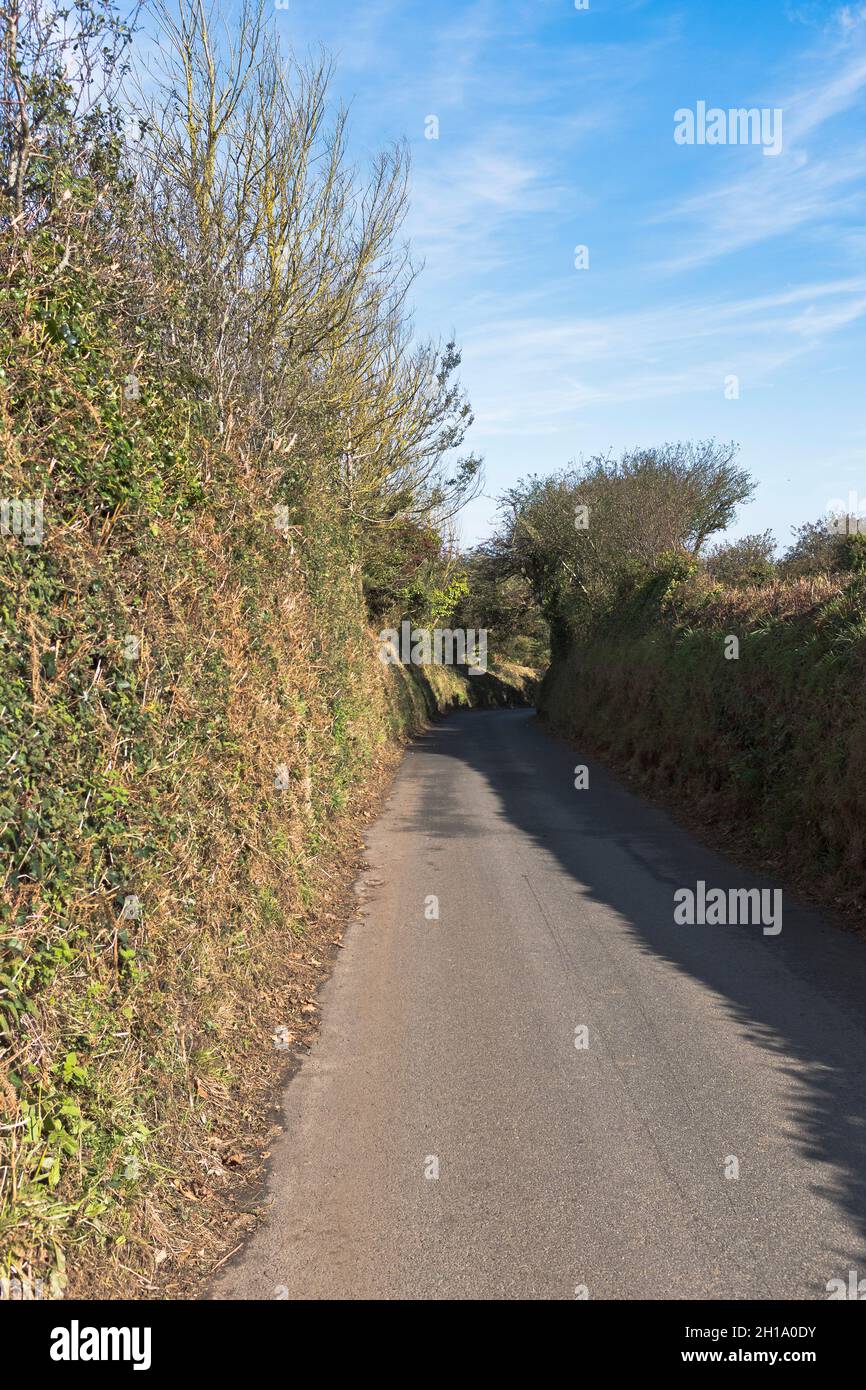 dh Country lane ROAD GUERNSEY Empty roads nobody Stock Photo