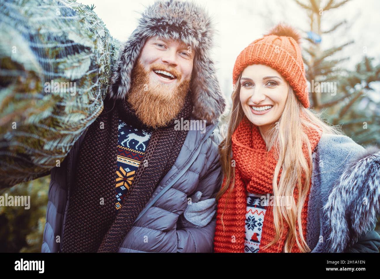 Christmas tree carry hi-res stock photography and images - Alamy