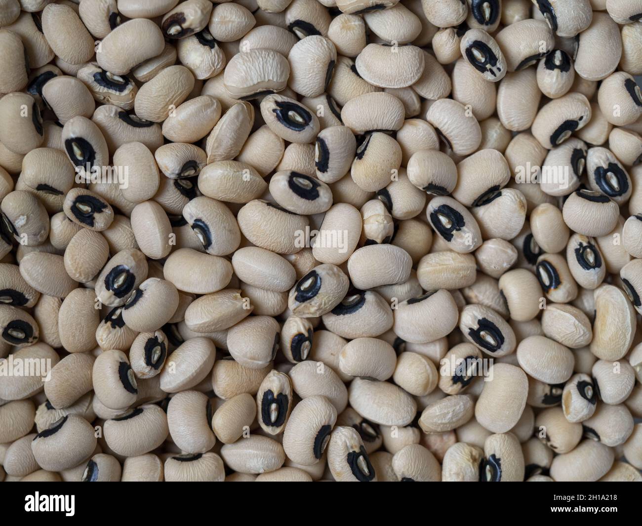 A top view of blackeyed pea beans Stock Photo Alamy