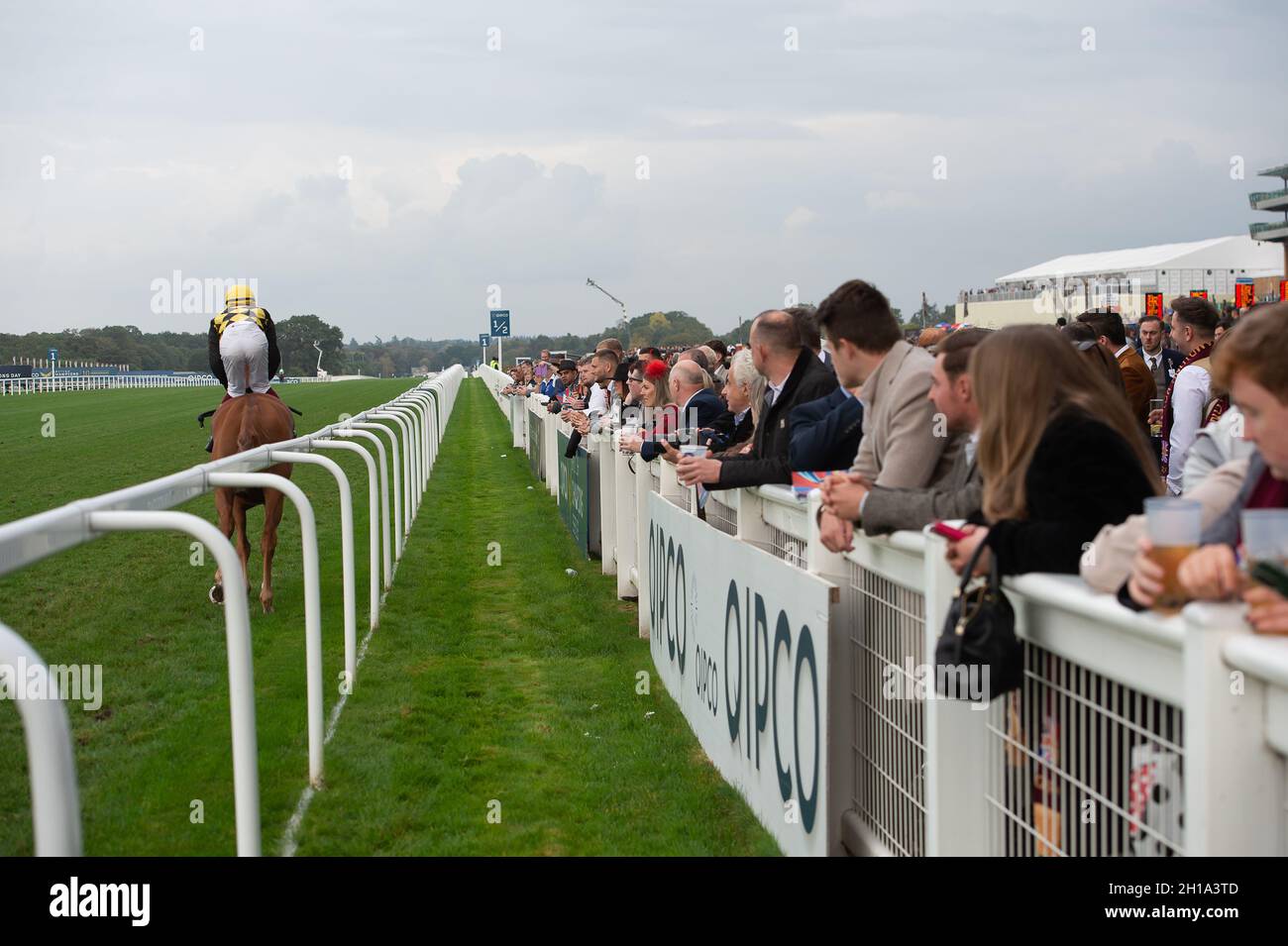 Ascot, Berkshire, UK. 16th October, 2021. A busy day for racegoers at ...