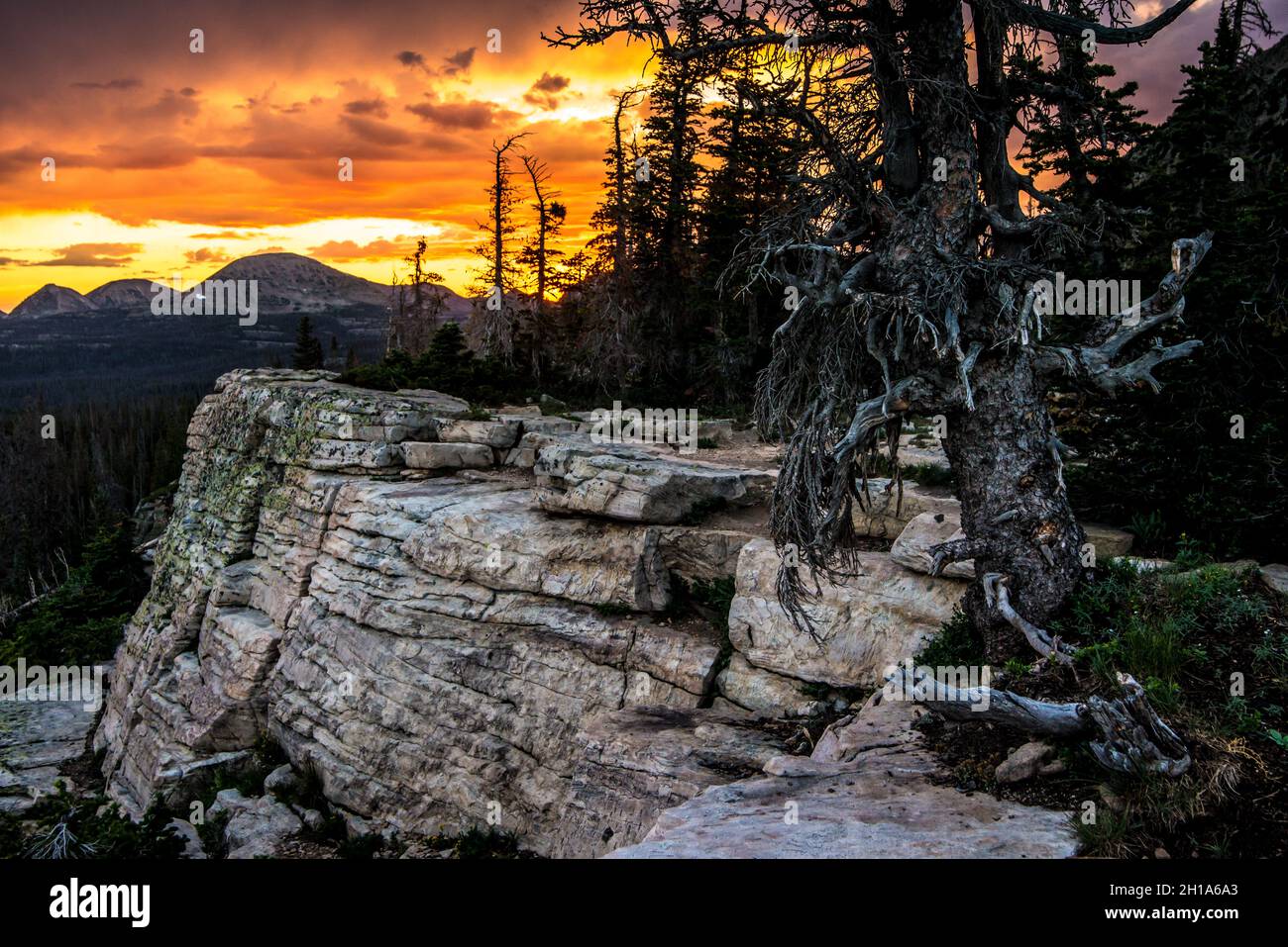 Sunset Ridge - Uinta Mountain Range - Utah Stock Photo