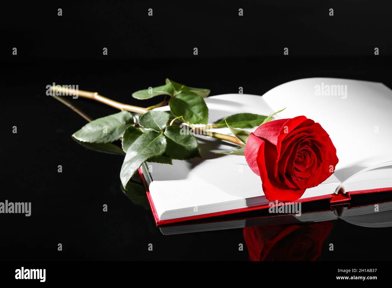 Open Book With Red Rose On Black Background Hi Res Stock Photography And Images Alamy