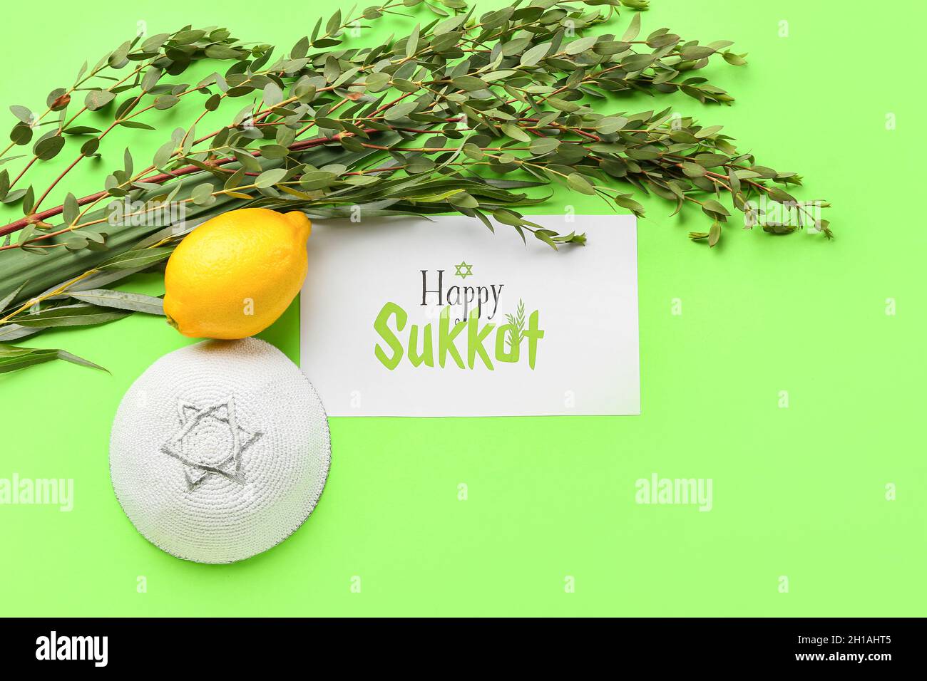 Sukkot festival symbols and greeting card on color background Stock