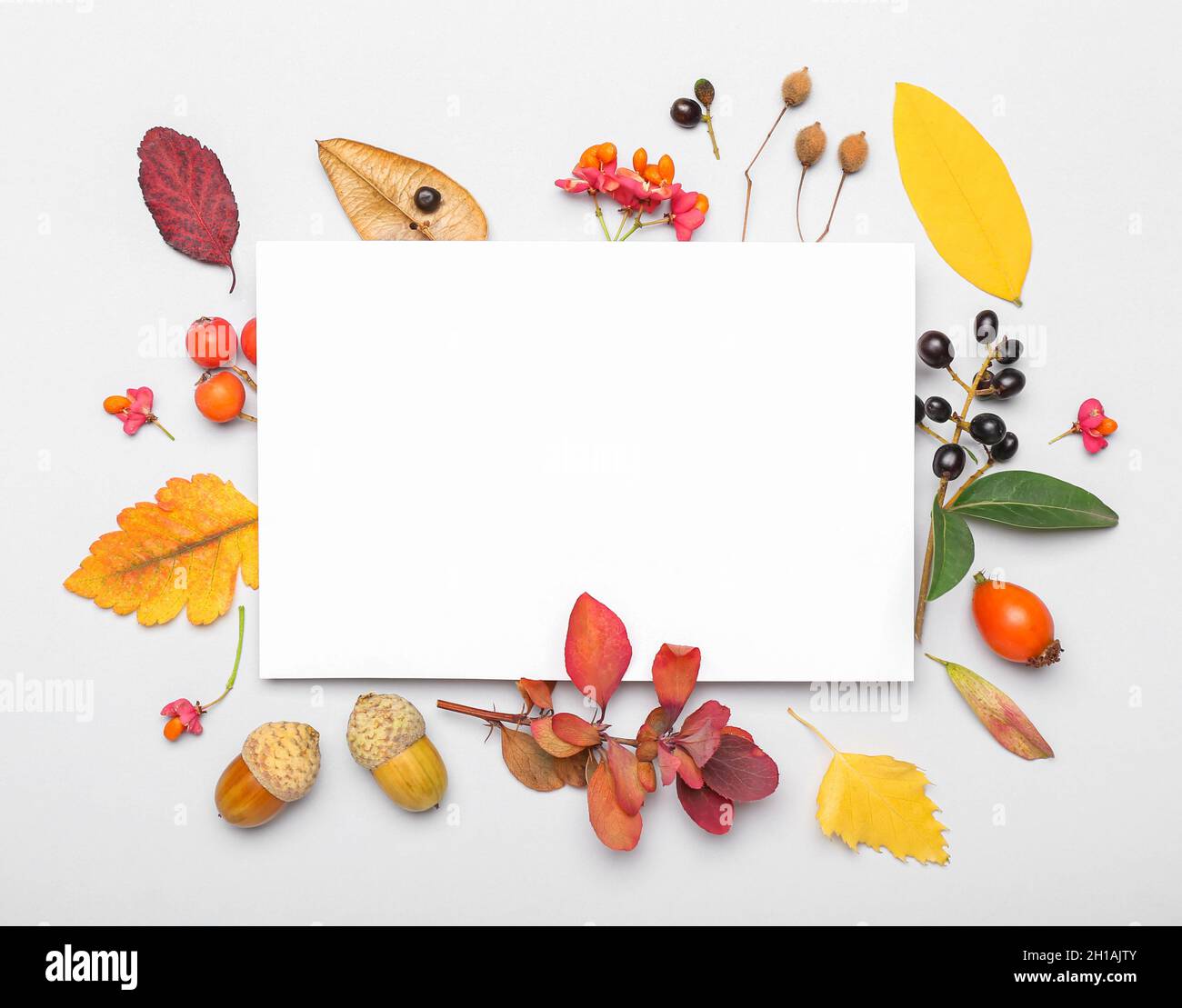 Composition with blank sheet of paper, autumn leaves and berries on ...
