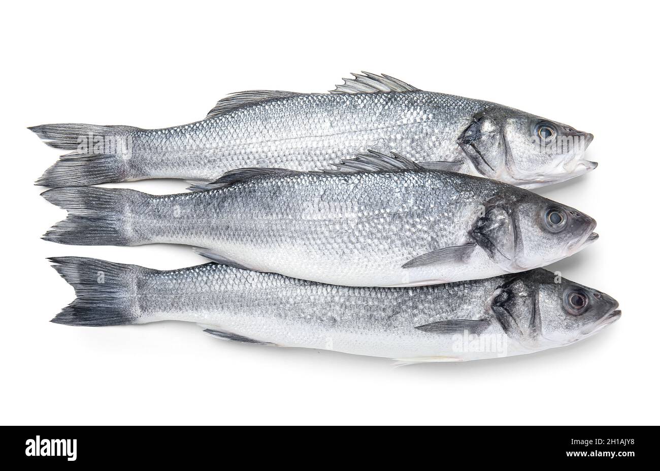 Fresh uncooked sea bass fish on white background Stock Photo - Alamy