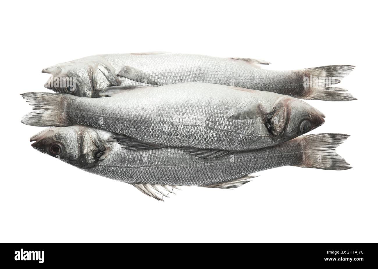 Fresh uncooked sea bass fish on white background Stock Photo - Alamy