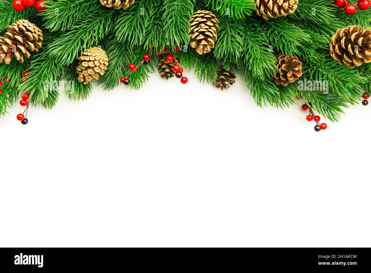 Christmas and New Year background with green spruce branches, cones and ...