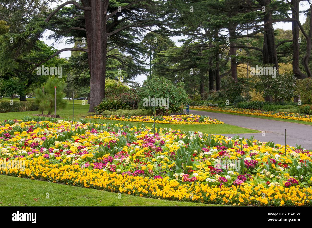 Garden path flowers australia hires stock photography and images Alamy