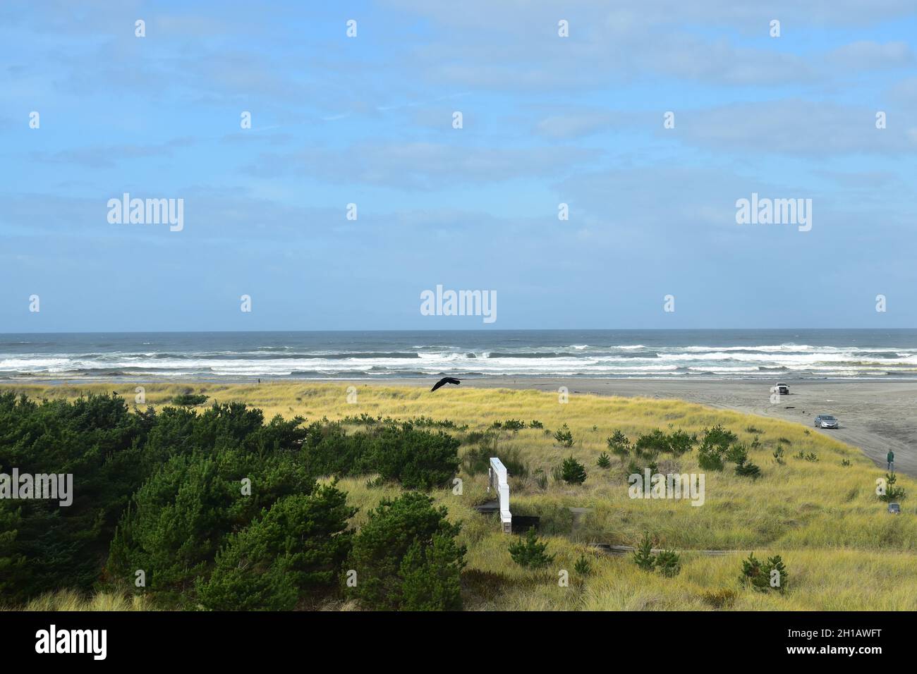 Views of the beach and dunes from The Pickled Fish Restaurant at the