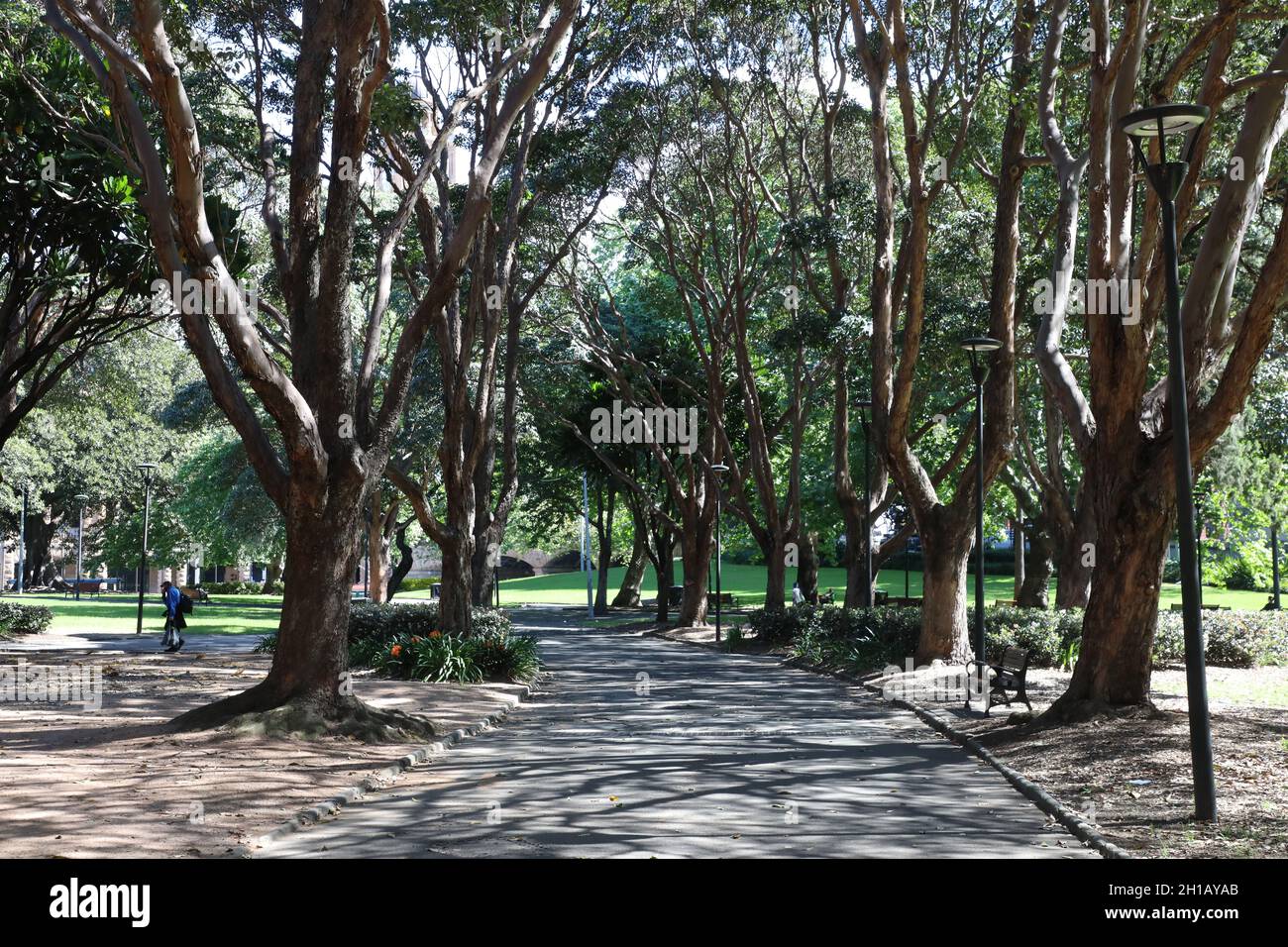 Belmore Park, Sydney, NSW, Australia Stock Photo Alamy