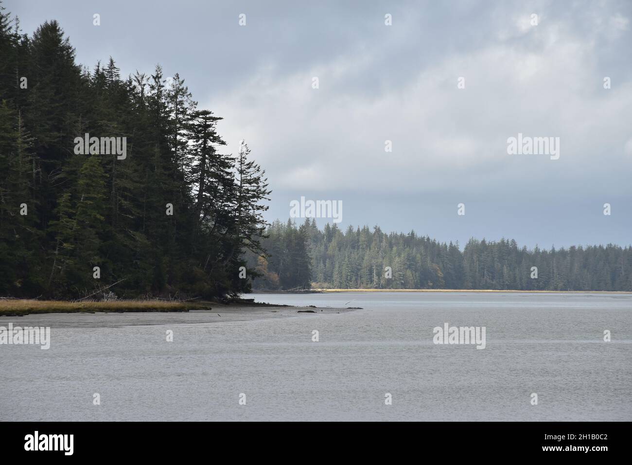 Views of Long Island, mudflats and saltwater marshes in the 11,000 acre
