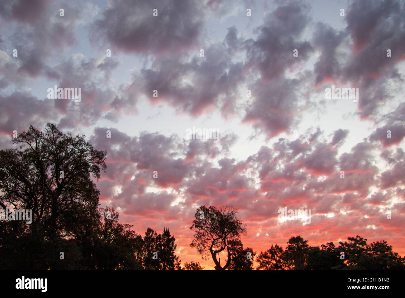 Cloudy skies early summer over the Gauteng province in South Africa ...