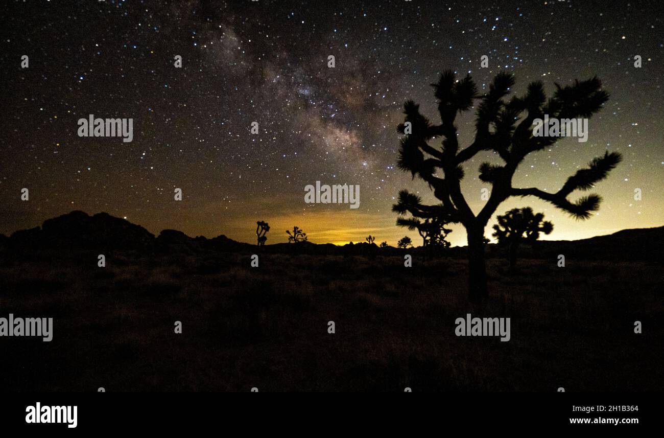 Night Joshua Tree National Park Stock Photo - Alamy