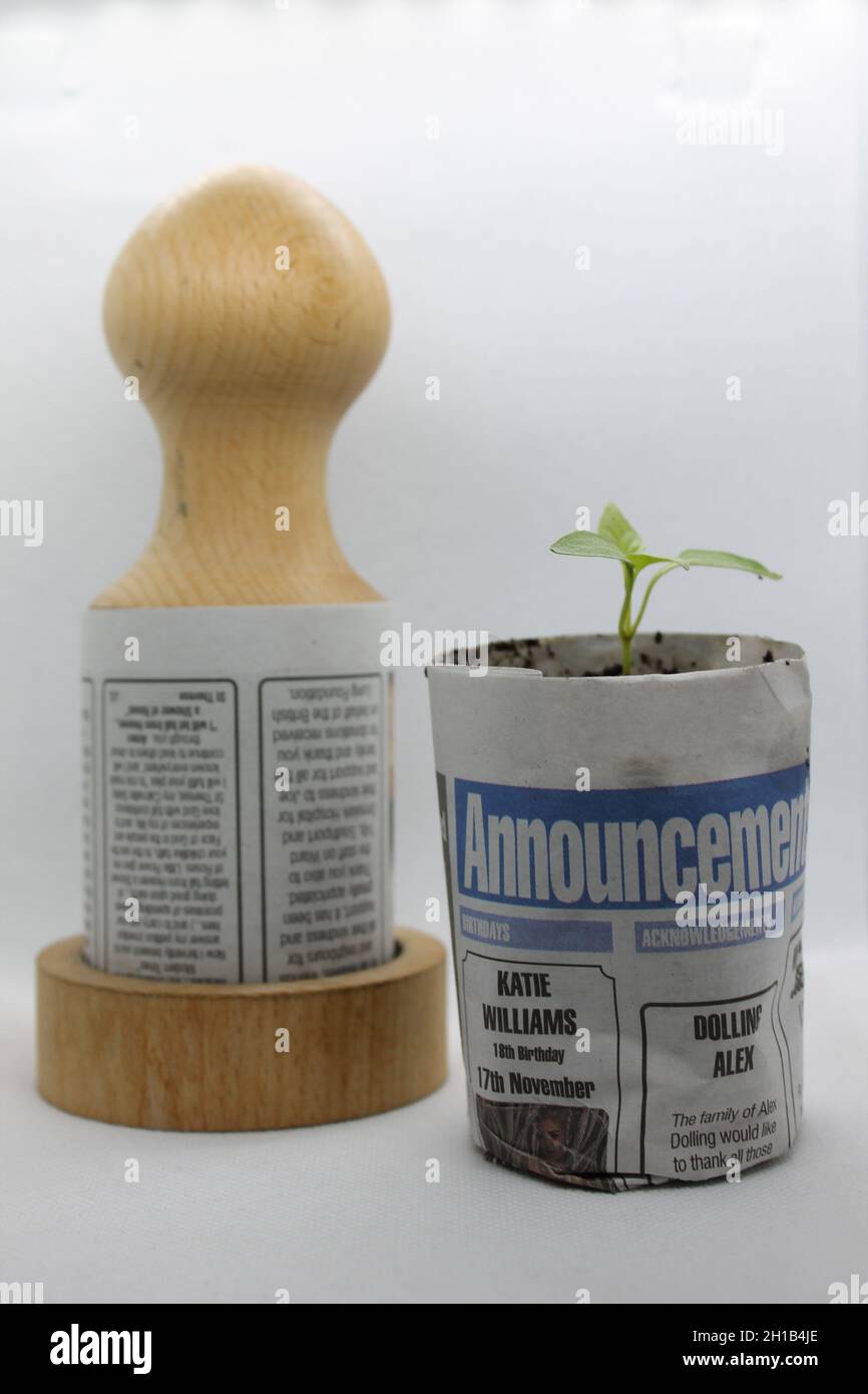 Plant pot made from recycled newspaper, alternative to plastic plant pots Stock Photo